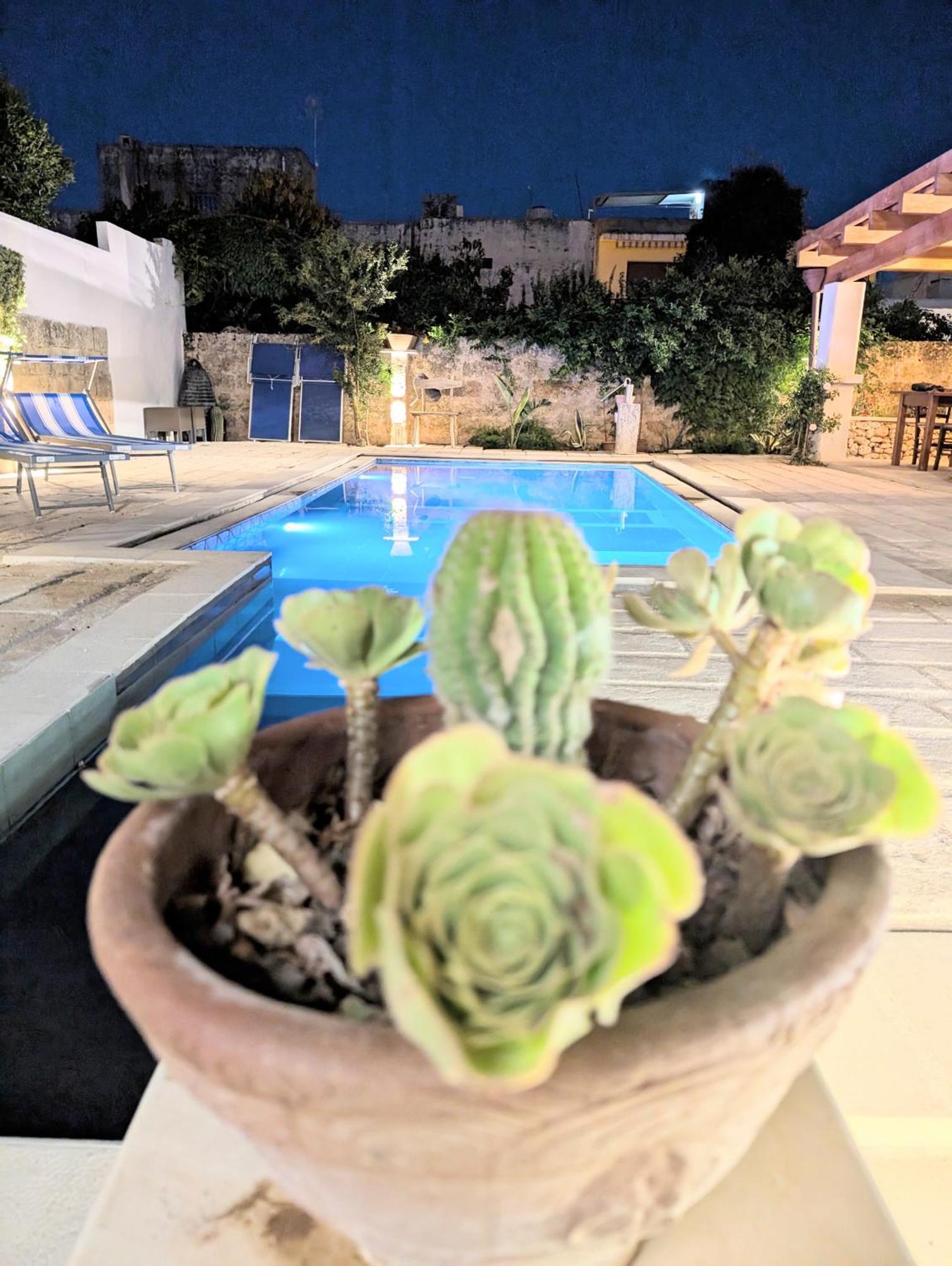 The Art Of Leo Bed & Breakfast Lucugnano ภายนอก รูปภาพ